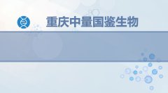 收藏！重庆靠谱隐私亲子鉴定机构中心汇