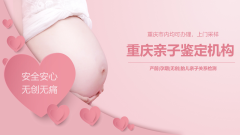 报告！重庆无创亲子鉴定多少钱（2026年超全指南