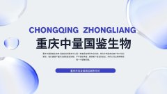 快速！重庆匿名亲子鉴定全解析(含2026办理要点