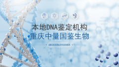  直讲！重庆亲子鉴定收费费用标准（附26年收费