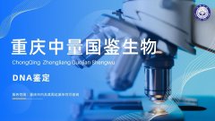 重庆6家隐私亲子鉴定汇总中心大全（附